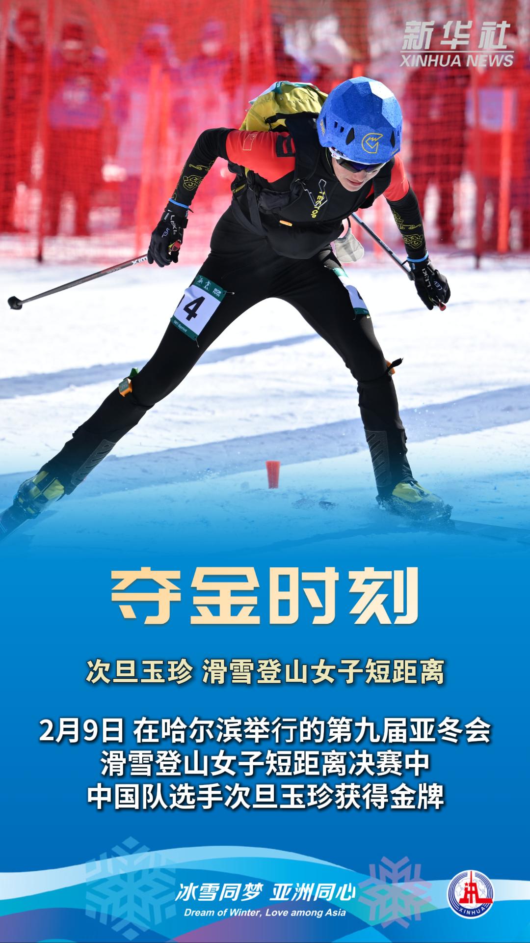 新西兰滑雪选手勇夺金牌，傲视群雄